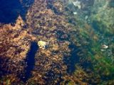 IMG 5863