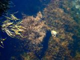 IMG 5864
