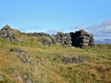 IMG 5879