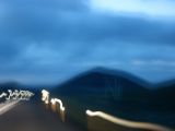 IMG 5969