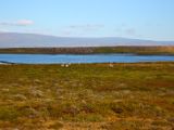 IMG 5998