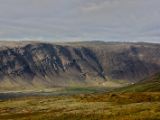 IMG 6051