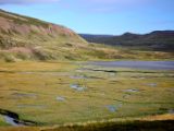 IMG 6056