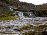 IMG 6180