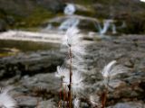 IMG 6183