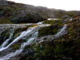 IMG 6191