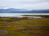 IMG 6295