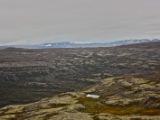 IMG 6303