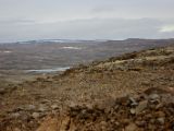 IMG 6324
