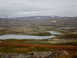 IMG 6325