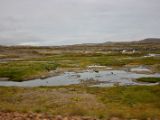 IMG 6340