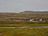 IMG 6342