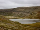 IMG 6356