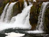 IMG 6383