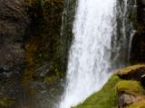 IMG 6447