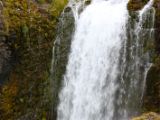 IMG 6454