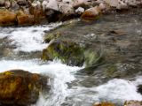 IMG 6486