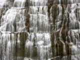 IMG 6531