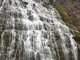 IMG 6536