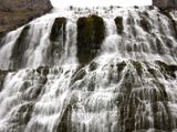 IMG 6539