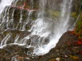 IMG 6561