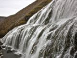 IMG 6565