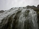IMG 6566