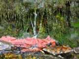 IMG 6574