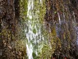 IMG 6577