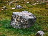 IMG 6598