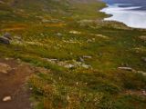 IMG 6599
