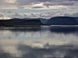 IMG 6648