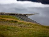 IMG 6654