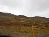 IMG 6678