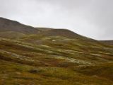 IMG 6683