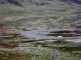 IMG 6692