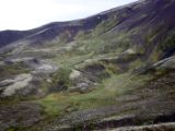 IMG 6698