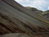 IMG 6716