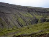 IMG 6724