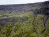 IMG 6726