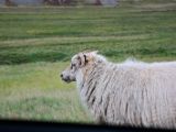 IMG 6745