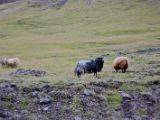 IMG 6747