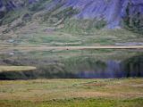 IMG 6754