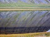 IMG 6758
