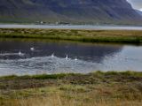 IMG 6768