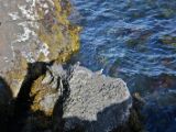 IMG 6778
