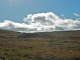 IMG 6789