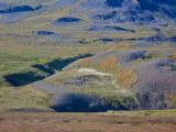 IMG 6798
