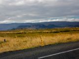 IMG 6802