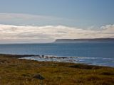 IMG 6835